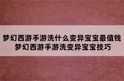 梦幻西游手游洗什么变异宝宝最值钱 梦幻西游手游洗变异宝宝技巧